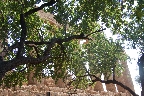 img/agrigento-7359.jpg